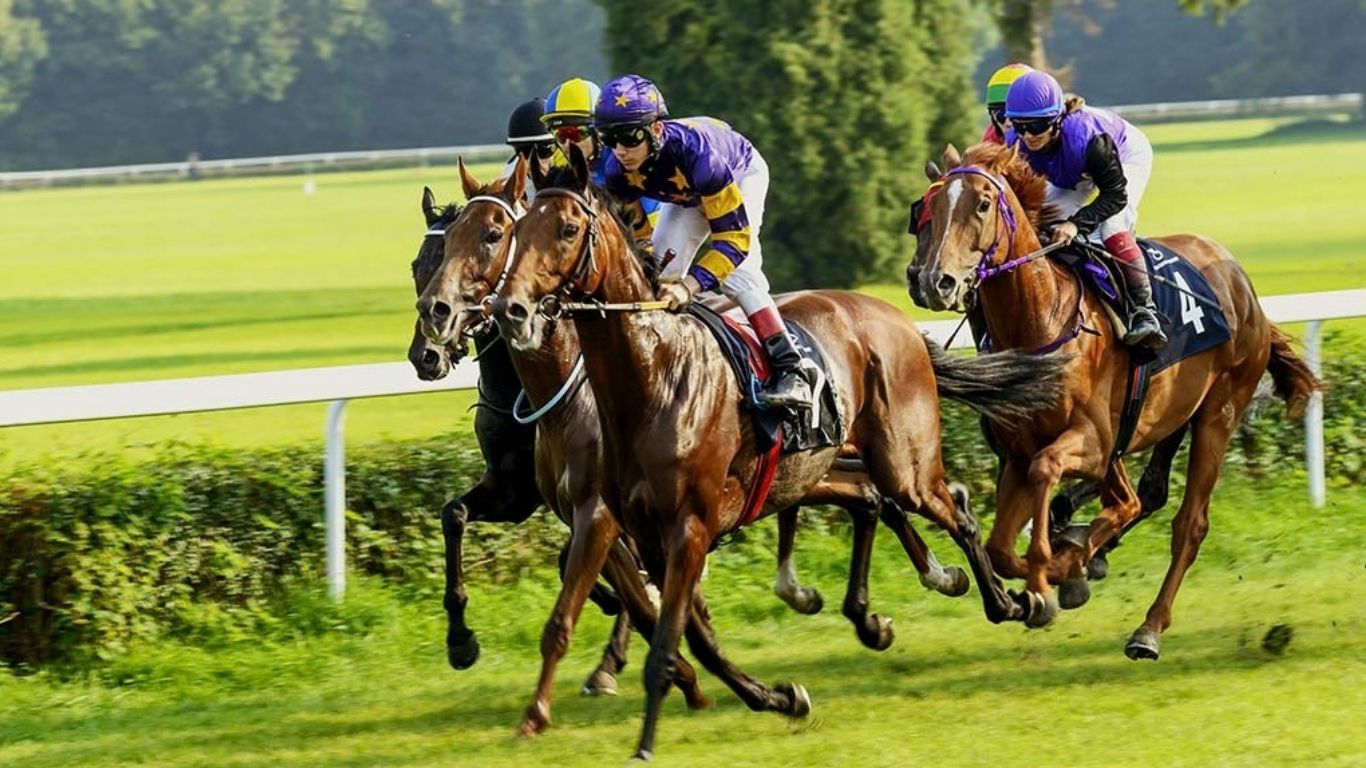 horse race